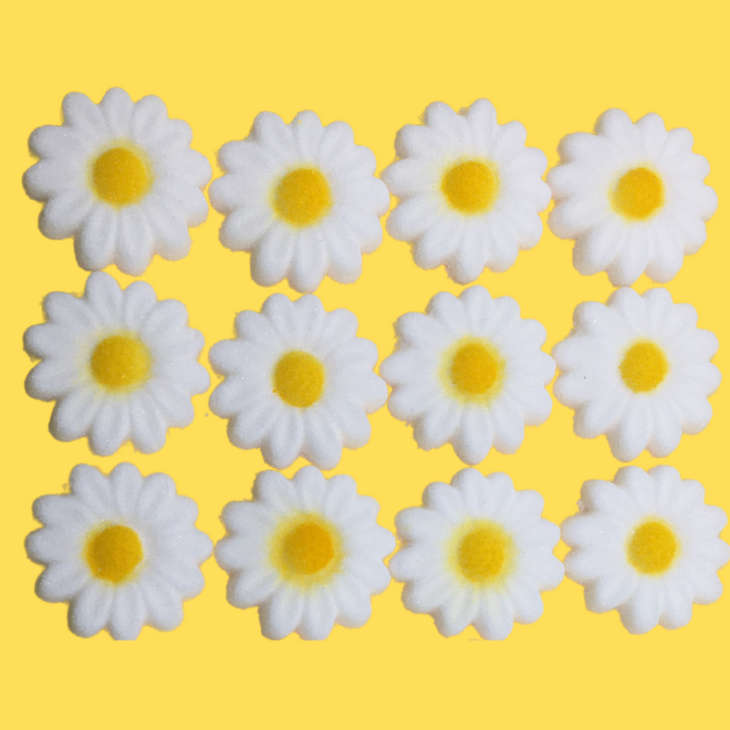 Daisy Flowers Edible Dessert Toppers Cake Cupcake Sugar Icing Decorations -12ct