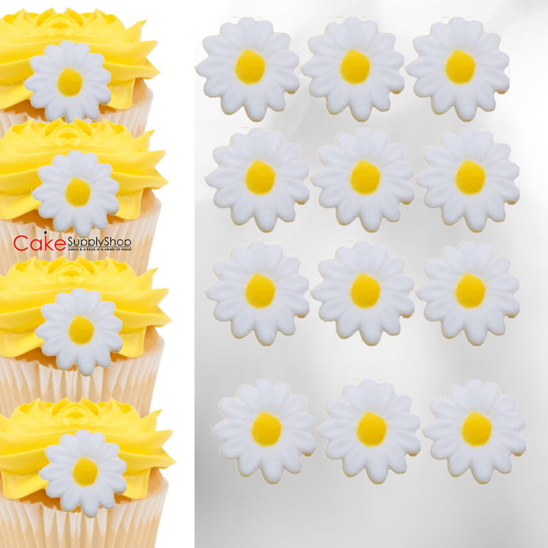 Daisy Flowers Edible Dessert Toppers Cake Cupcake Sugar Icing Decorations -12ct