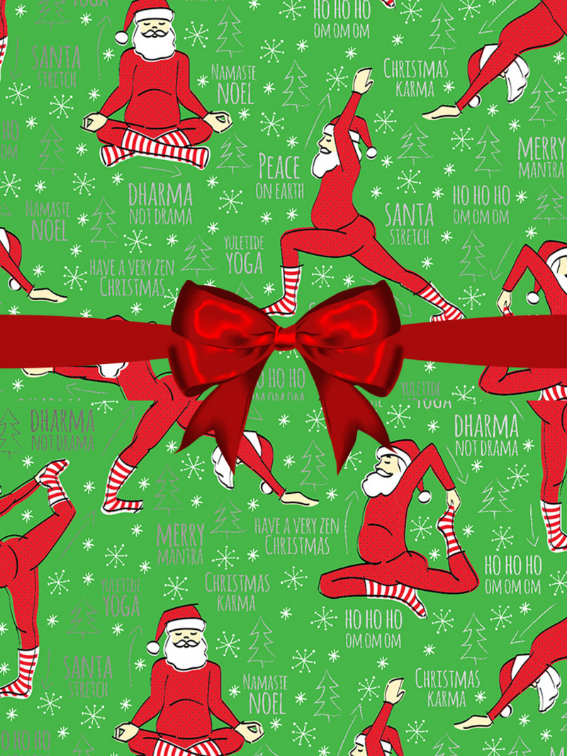 Reindeer Sleigh Red and White Elegant Christmas Holiday Gift Wrap Wrapping  Paper 24 x 15ft
