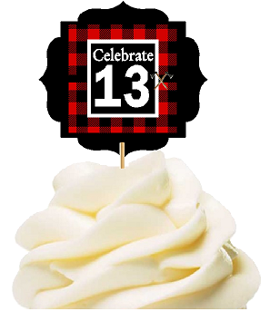 Specially Crafted 13th Birthday - Anniversary LumberJack Buffalo Plaid Novelty Cupcake Decoration Toppers -  Picks -12ct