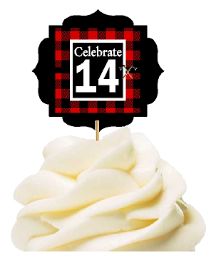 Specially Crafted 14th Birthday - Anniversary LumberJack Buffalo Plaid Novelty Cupcake Decoration Toppers -  Picks -12ct