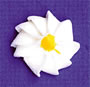 Small White Daisies Royal Icing Cake-Cupcake Decorations 12 Ct