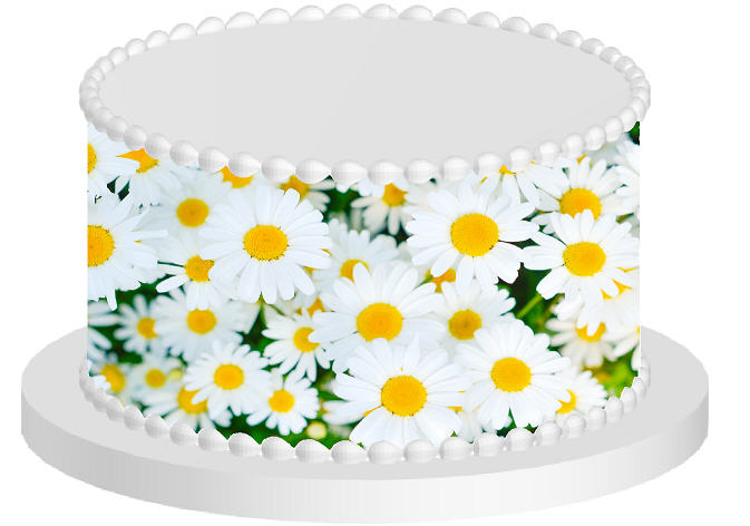 Daisy on Green Edible Printed Cake Decoration Frosting Sheets