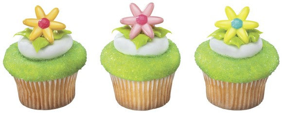 SpRings  Daisy Cupcake - Desert - Food Decoration Topper Rings 12ct