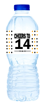 14th Birthday - Anniversary Party Decoration Water Bottle Labels
