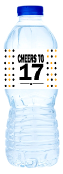 17th Birthday - Anniversary Party Decoration Water Bottle Labels