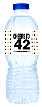 42nd Birthday - Anniversary Party Decoration Water Bottle Labels