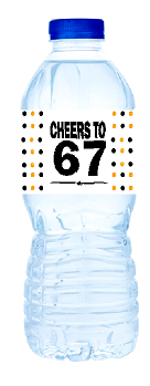 67th Birthday - Anniversary Party Decoration Water Bottle Labels