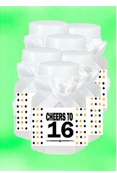 16th Birthday - Anniversary Party Favor Mini Bubbles with Wand -12pack