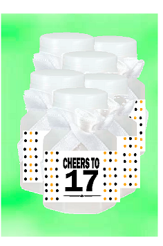 17th Birthday - Anniversary Party Favor Mini Bubbles with Wand -12pack