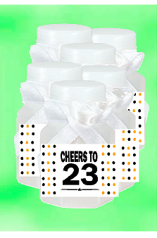 23rd Birthday - Anniversary Party Favor Mini Bubbles with Wand -12pack