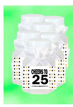 25th Birthday - Anniversary Party Favor Mini Bubbles with Wand -12pack