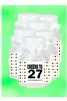 27th Birthday - Anniversary Party Favor Mini Bubbles with Wand -12pack