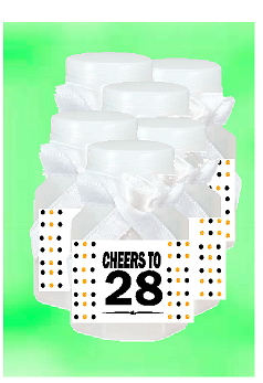 28th Birthday - Anniversary Party Favor Mini Bubbles with Wand -12pack