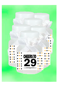 29th Birthday - Anniversary Party Favor Mini Bubbles with Wand -12pack