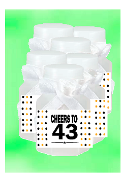 43rd Birthday - Anniversary Party Favor Mini Bubbles with Wand -12pack
