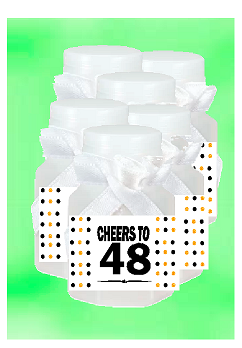 48th Birthday - Anniversary Party Favor Mini Bubbles with Wand -12pack