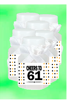 61st Birthday - Anniversary Party Favor Mini Bubbles with Wand -12pack