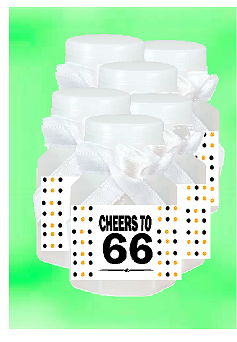 66th Birthday - Anniversary Party Favor Mini Bubbles with Wand -12pack