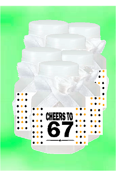 67th Birthday - Anniversary Party Favor Mini Bubbles with Wand -12pack