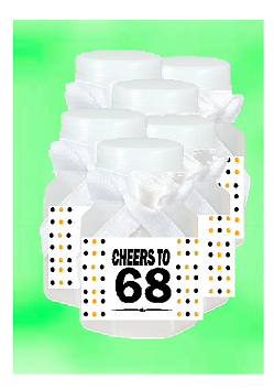 68th Birthday - Anniversary Party Favor Mini Bubbles with Wand -12pack