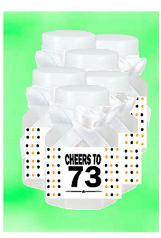 73rd Birthday - Anniversary Party Favor Mini Bubbles with Wand -12pack