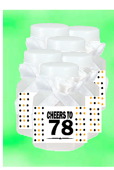 78th Birthday - Anniversary Party Favor Mini Bubbles with Wand -12pack