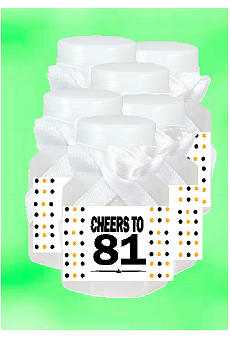 81st Birthday - Anniversary Party Favor Mini Bubbles with Wand -12pack