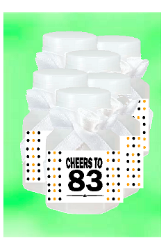 83rd Birthday - Anniversary Party Favor Mini Bubbles with Wand -12pack