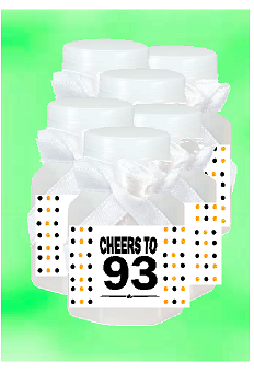93rd Birthday - Anniversary Party Favor Mini Bubbles with Wand -12pack