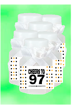 97th Birthday - Anniversary Party Favor Mini Bubbles with Wand -12pack