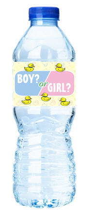 Boy or Girl?Ducks-Personalized Water Bottle Labels-12pack